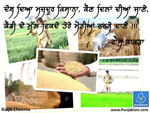 Punjabi farmer