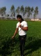 bhinda  khera